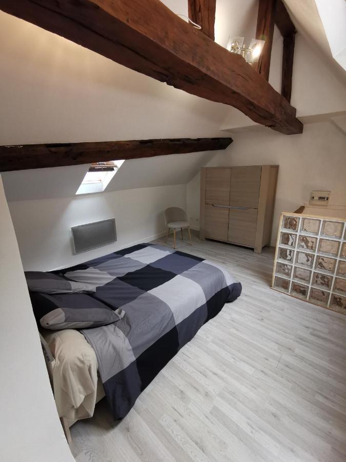 Appartement Hyper Centre Au Bord De Loire Orléans Esterno foto